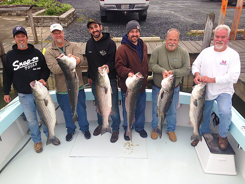 Six anglers on the dock, each holding a big rockfish