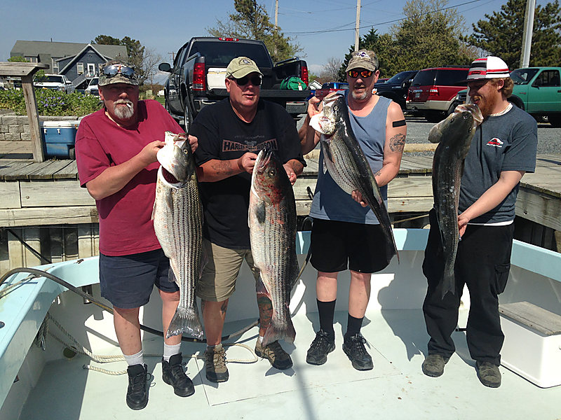 Four men on the deck each holding a big rockfish