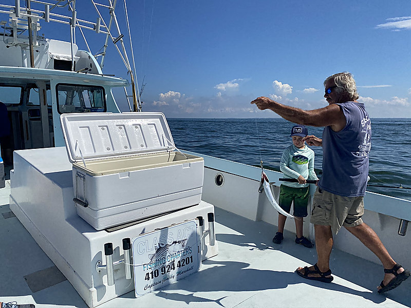 Tossing a fish into the cooler on the Class Act deck