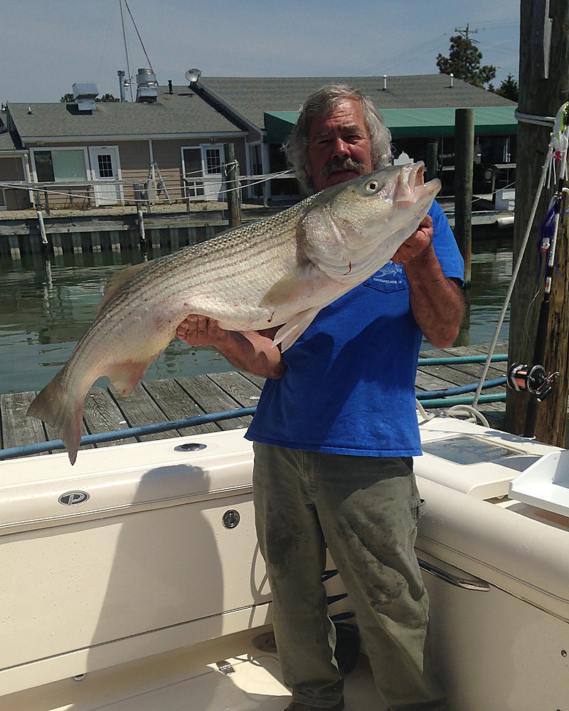 A big rockfish held up on the Class Act deck at the dock